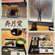 築地・寿月堂～海苔の専門店 丸山海苔店の日本茶専門カフェの抹茶を楽しむティータイム