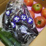 JA全農えひめから愛媛県産の夏野菜が送られてきた件