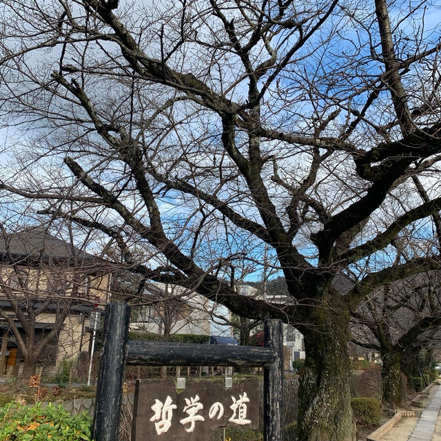 冬の京都♪