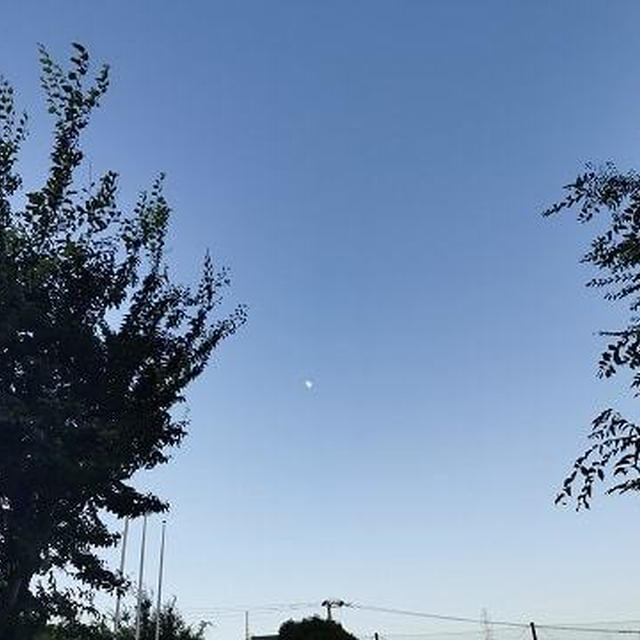 目の錯覚 / 投票日の定番ごはん