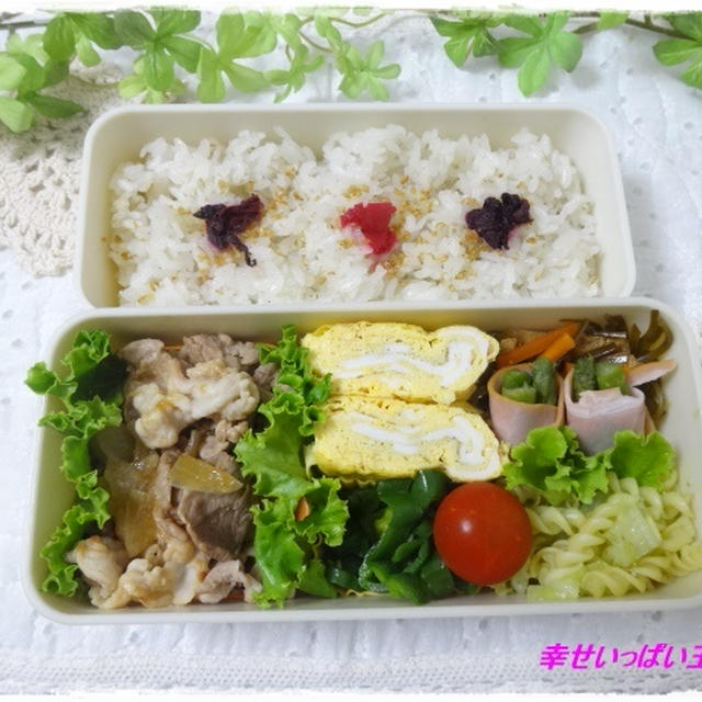 ☆豚小間と玉ねぎの和風炒めのお弁当☆