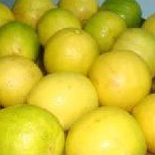 発酵レモンジュースと辛レモンピクルス