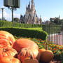 ハロウィン ディズニーに行ってきた♡