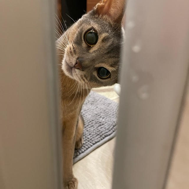 待ってた(*´ω`*)