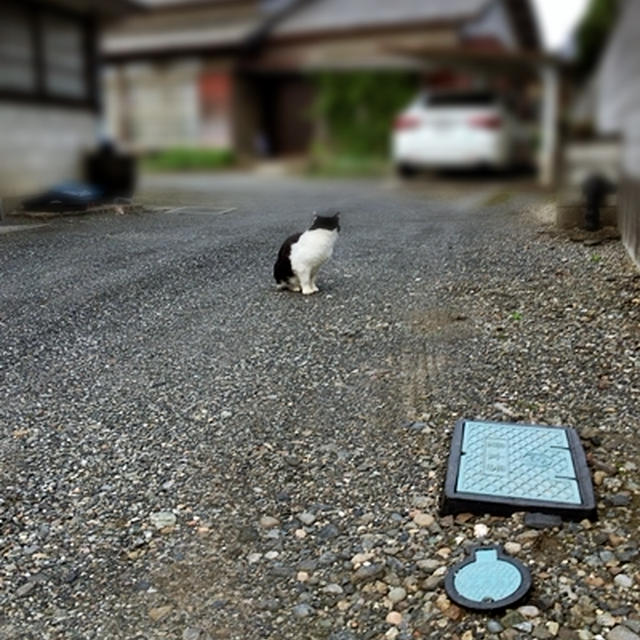 ミーさんのお出迎え…というか、催促か！？