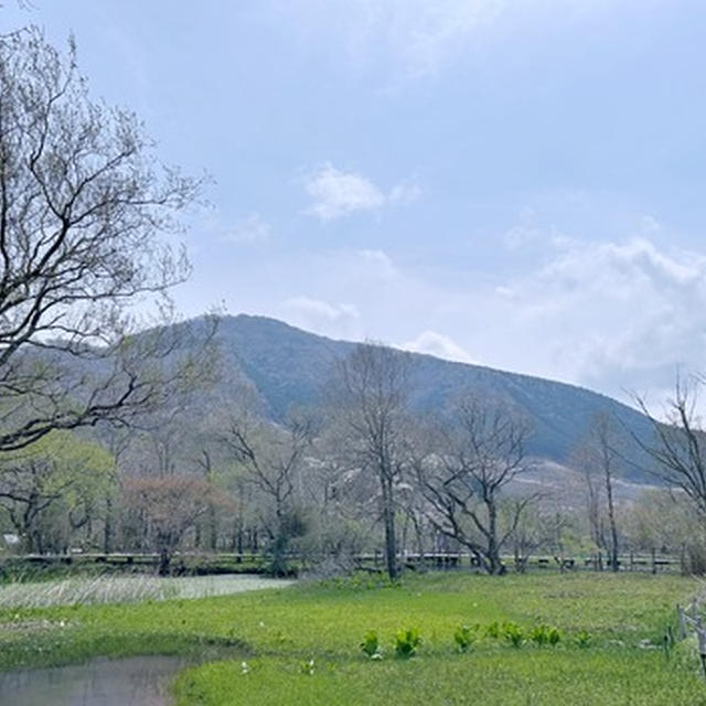 箱根湿性花園 4月