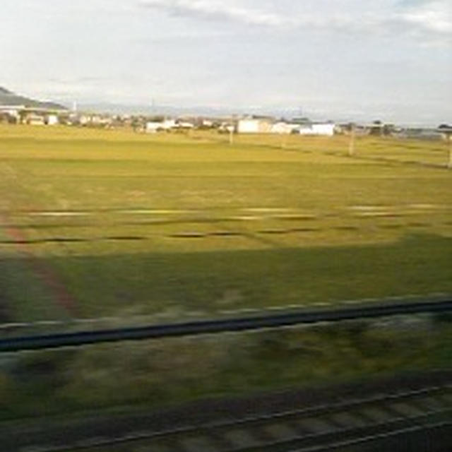 お空を見ながらモーニング♪