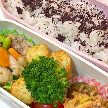 お弁当と自習室勉強