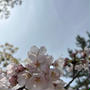 【感謝の言葉】桜満開の入学式