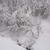 雪深き日に思う。