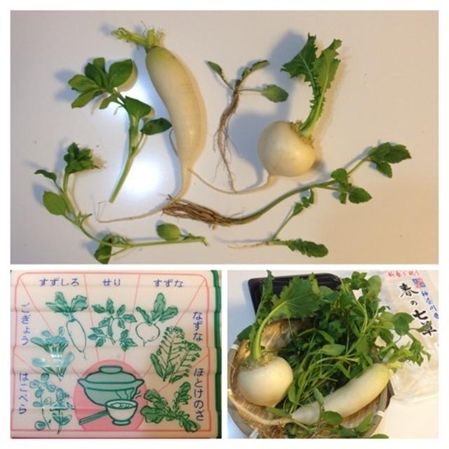 【春の七草 ななくさ】明日1/7の朝は「七草粥」にしようと準備中です