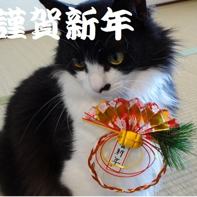 あけましておめでとうございます
