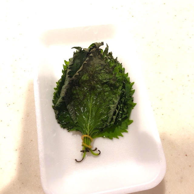 しそをパリッともたせる方法です！