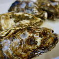 広島　大野瀬戸の牡蠣でレンジでチン（蒸しカキ）と牡蠣グラタン