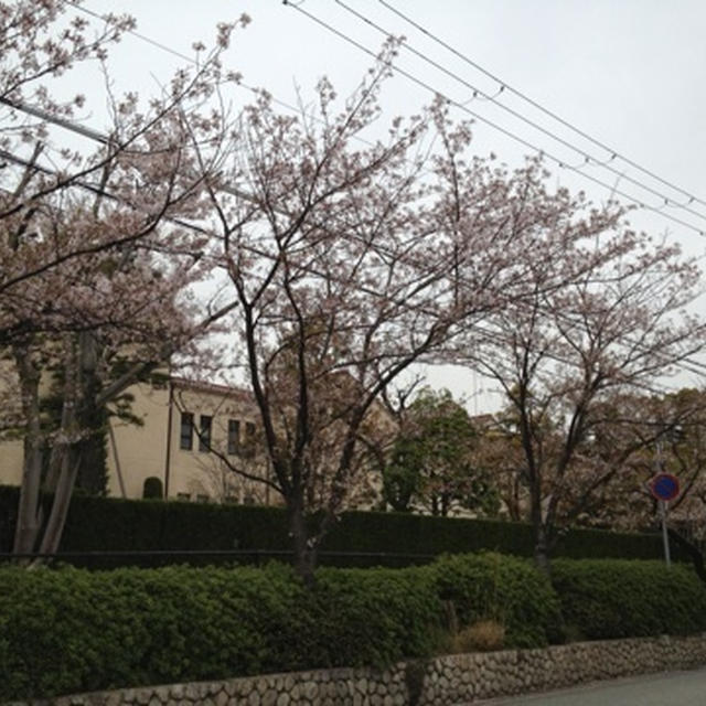 関学ボーイに混ざってる？