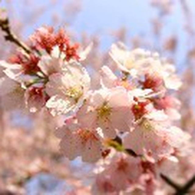何年後かの思い出