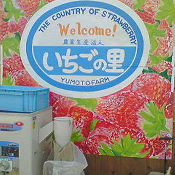 いちご狩り♪