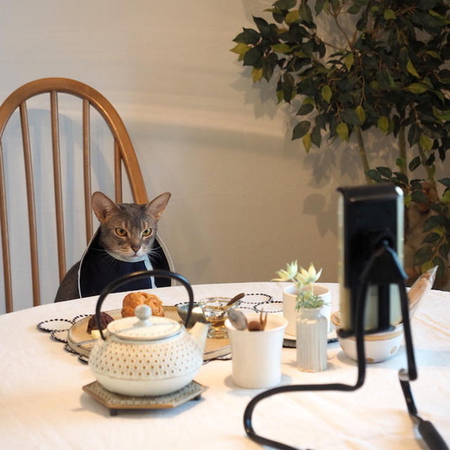 4人でオン茶♪