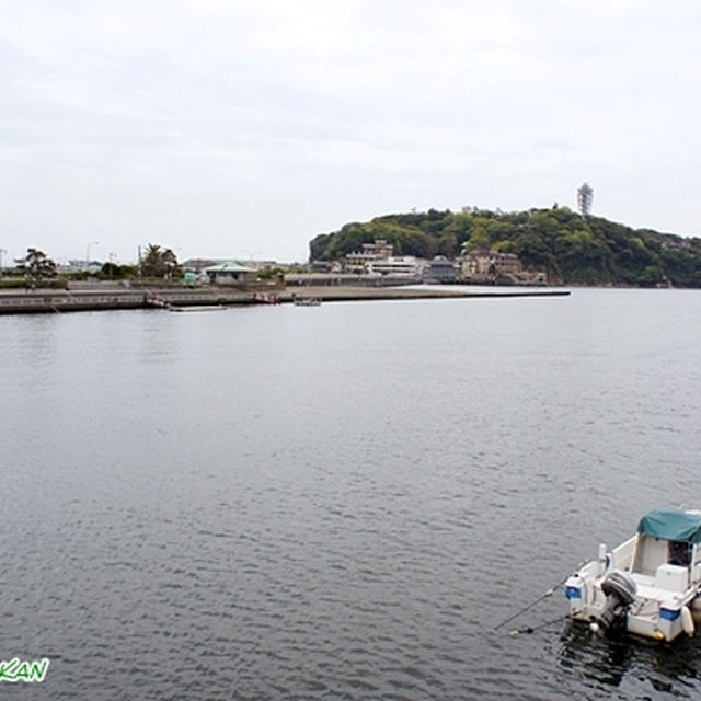 江の島散策・江の島展望コースその壱　あさひ本店のたこせんべい