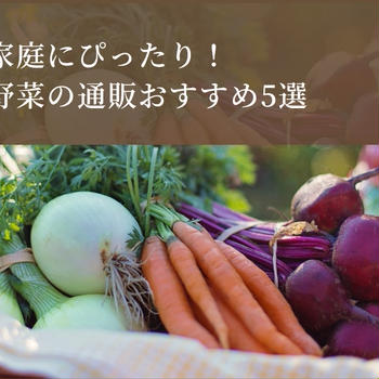 子育て家庭にぴったり！規格外野菜の通販おすすめ5選｜野菜が高い今こそお得に買う方法とは？
