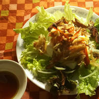 カリカリきんぴらとお豆腐のサラダ
