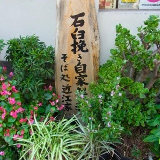 たまには、煮込みカツ♪（明大前のお蕎麦屋さん　近江家）