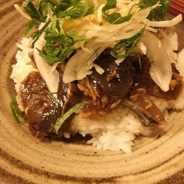 香ばしい～かつおの変わりたたき丼！