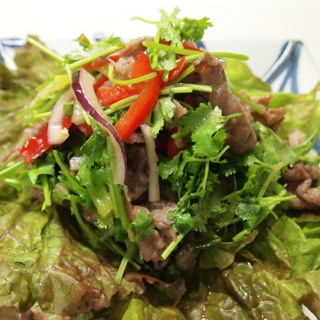 暑いときのタイ料理
