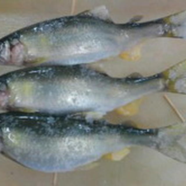 鮎（あゆ）の塩の振り方