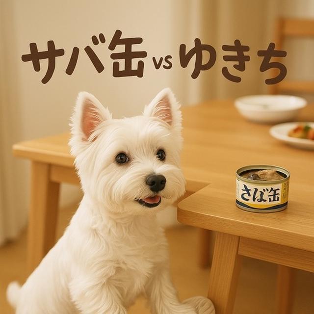 知恵