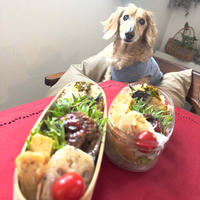 間違って届いた黒毛和牛のハンバーグ