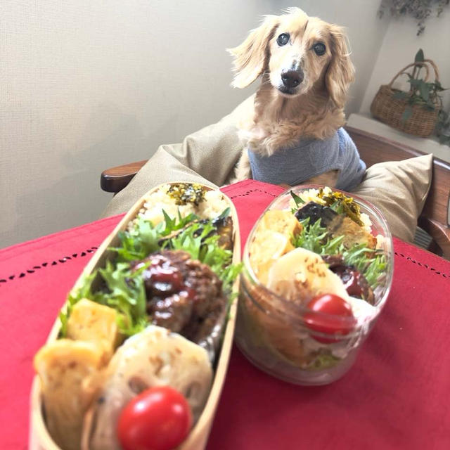 間違って届いた黒毛和牛のハンバーグ