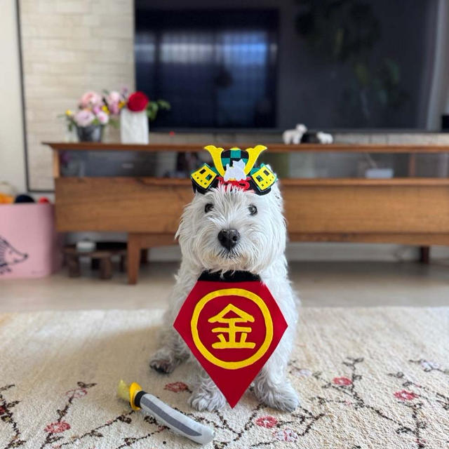 こどもの日