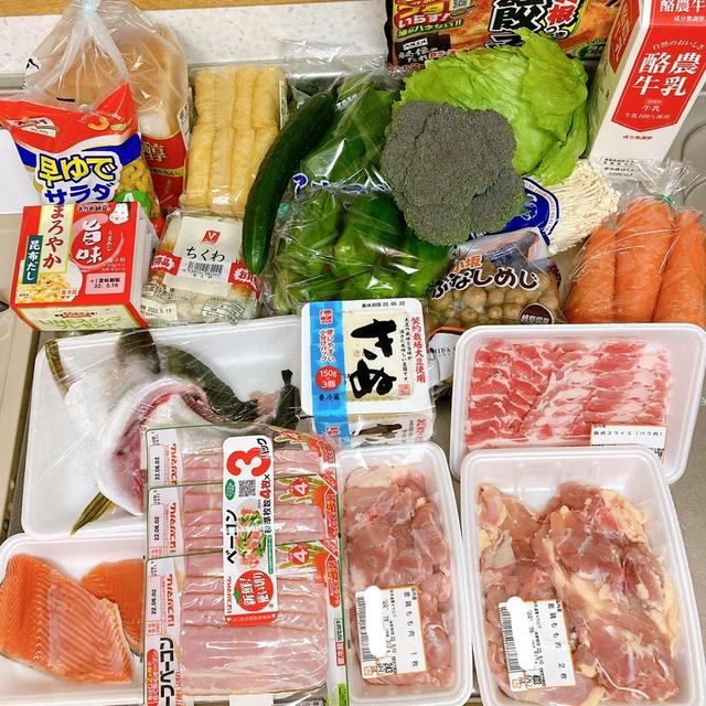 【5月2週】今週の買い出し！冷凍餃子て最高じゃないですか？