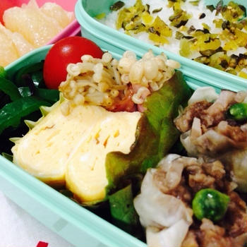 2015.5.12〜14のお弁当