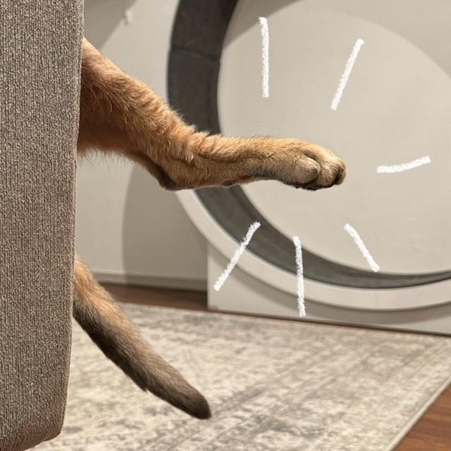 あれはナンだ⁇