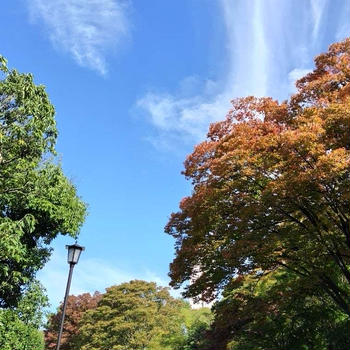 大仙公園＆人気の鯛焼き屋さん