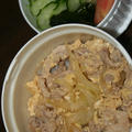 11月14日　　開化丼＆サラダランチ