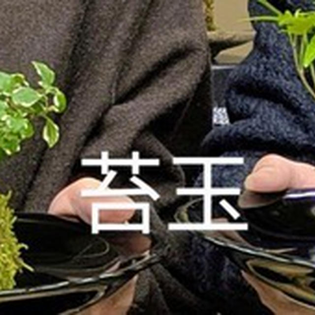 『苔』を知り始める～苔玉作り体験～松島洗心庵