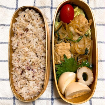 20250422豚ニラ炒め弁当