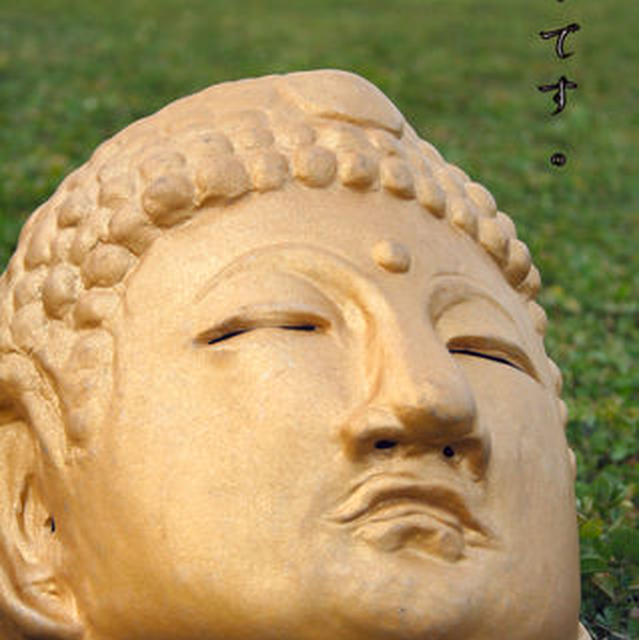 テレビ告知！！！！！