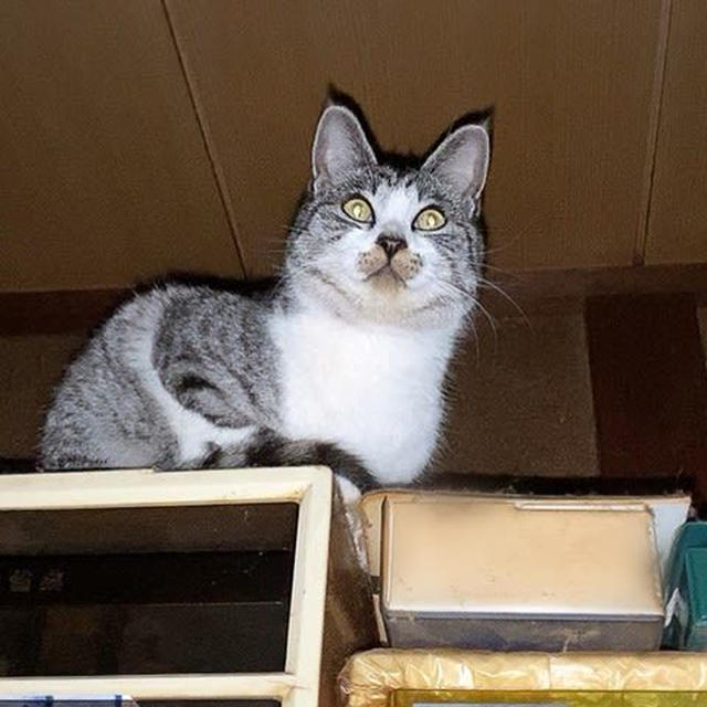 行方不明からの〜そこっ！？