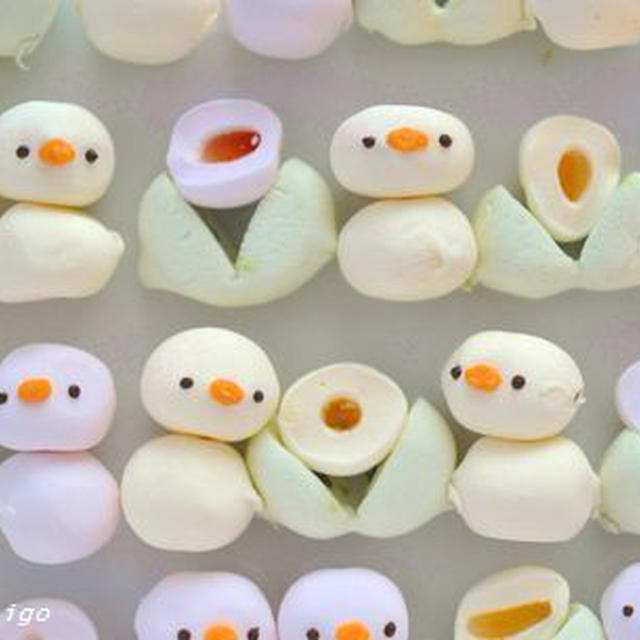 あけましておめでとうございます
