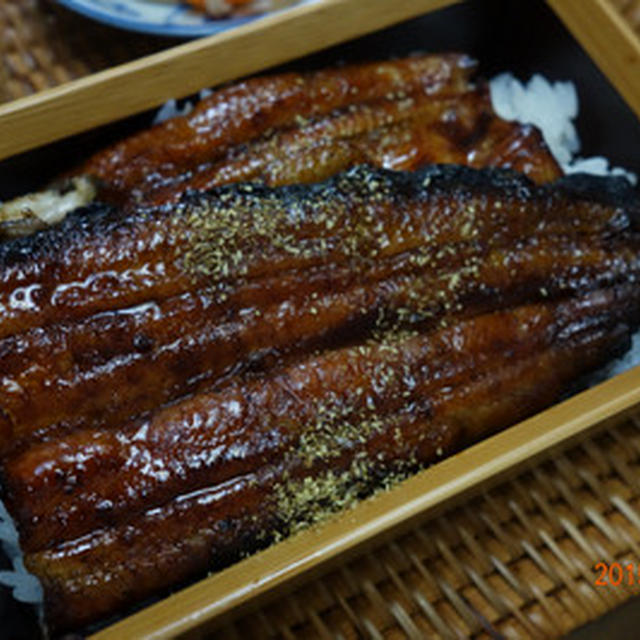 今日は丑の日