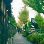 京都清水ぶらり旅。