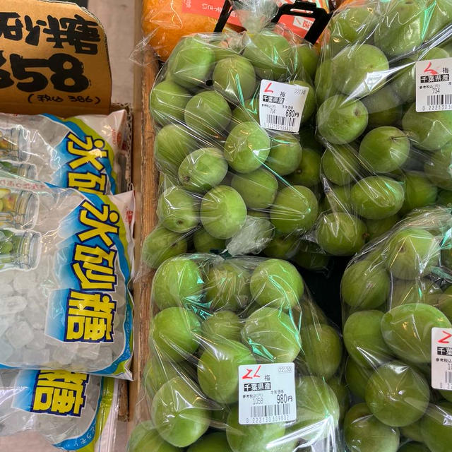 青梅☆登場しました♪