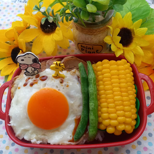 目玉焼きのせチャーシュー丼弁当〖のっけ弁当〗