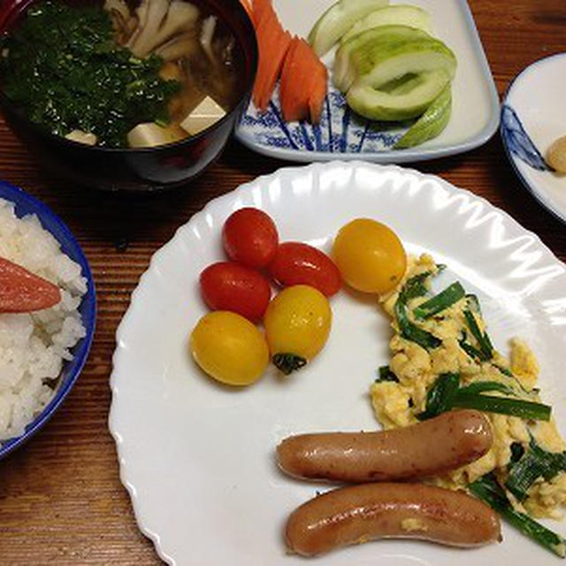 ニラ玉の朝ご飯。お出迎えするにゃんこ兄弟