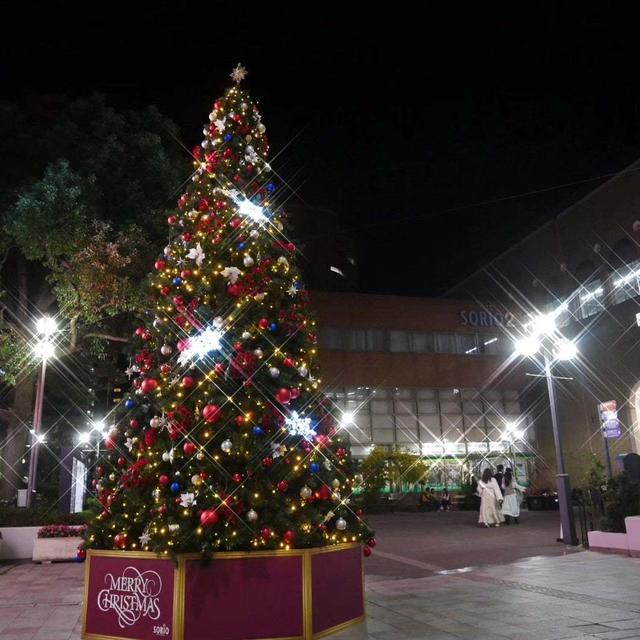 今日はクリスマスツリーの日