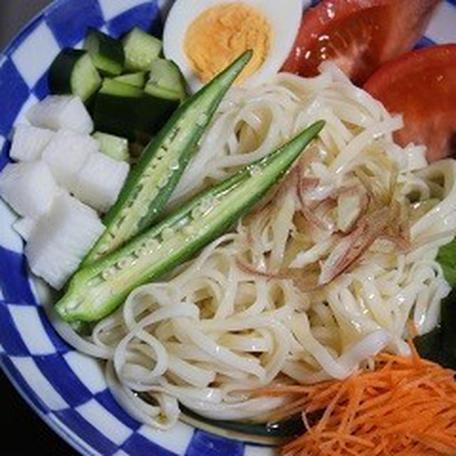 8月5日　　サラダうどん